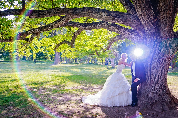 FOTOVIVA Fotografii după nuntă  Palatul Mogoșoaia 