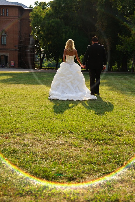 FOTOVIVA Fotografii după nuntă  Palatul Mogoșoaia 