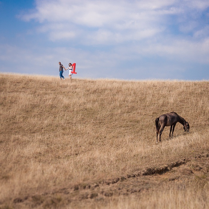 FOTOVIVA Fotografii aniversare nuntă  Lapoș 