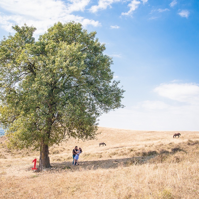 FOTOVIVA Fotografii aniversare nuntă  Lapoș 