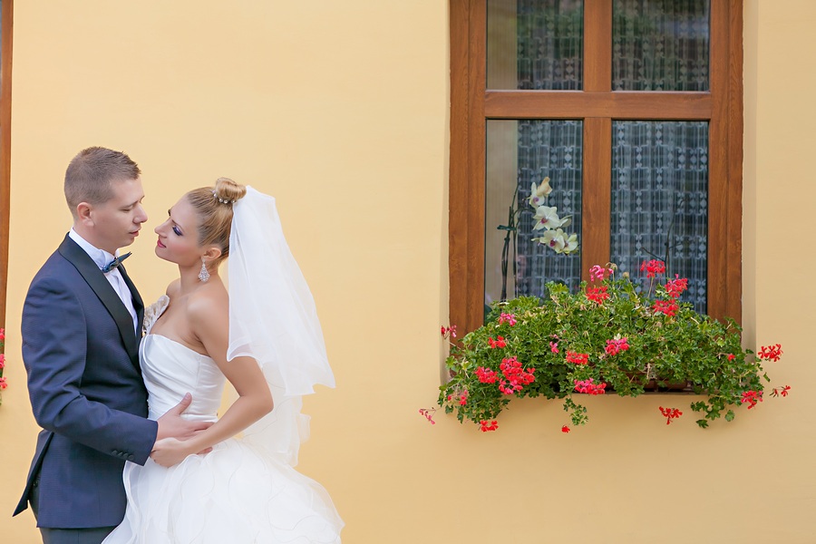 FOTOVIVA Fotografii după nuntă  Sighișoara 