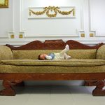FOTOVIVA Fotografii cununie civilă  Ploiești Crama Seciu 