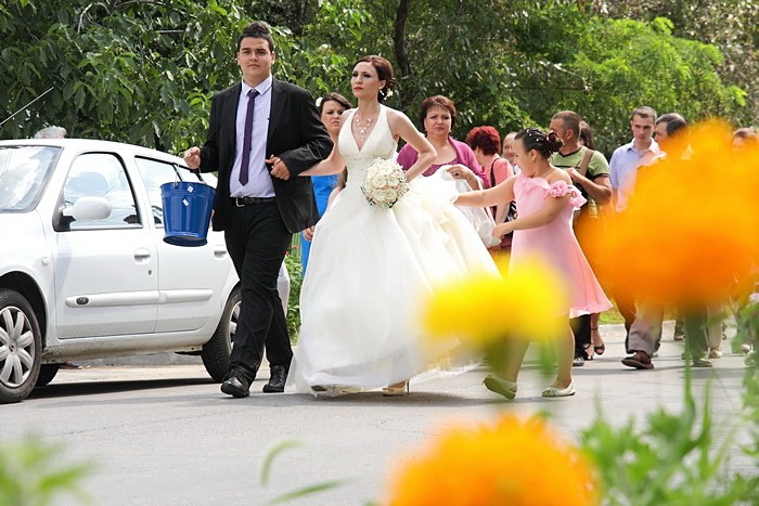 FOTOVIVA Fotografii de nuntă  Alexandria 