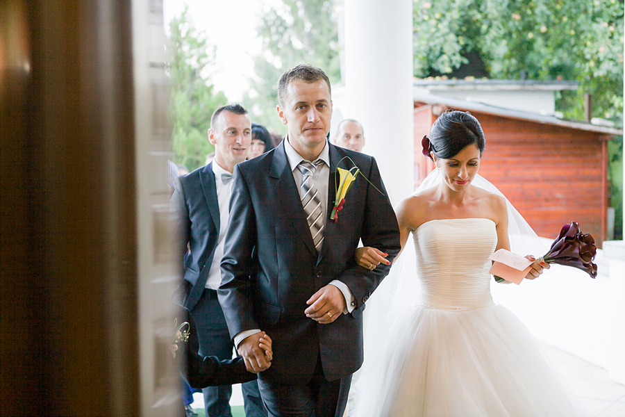 FOTOVIVA Fotografii de nuntă  Comarnic 